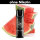 Elfbar ELFA Pods Watermelon ohne Nikotin I 2 Stk