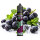 Revoltage OASYS Grape Mint 8ml Aroma
