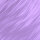 Dream Purple