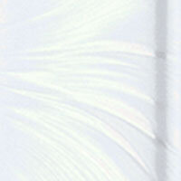 Plume White